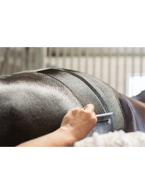 Smart Grooming Quarter Marking Spray