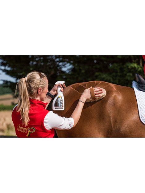 Smart Grooming Quarter Marking Spray